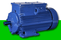 Crane And Hoist Duty Motors