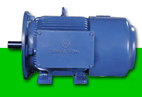 Crane And Hoist Duty Motors